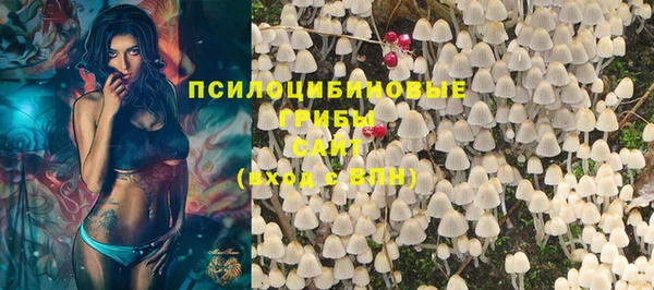 прущие крисы Магадан