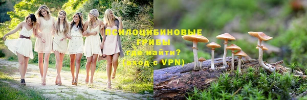прущие крисы Магадан