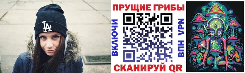 купить Тюмень Псилоцибиновые грибы ЛСД