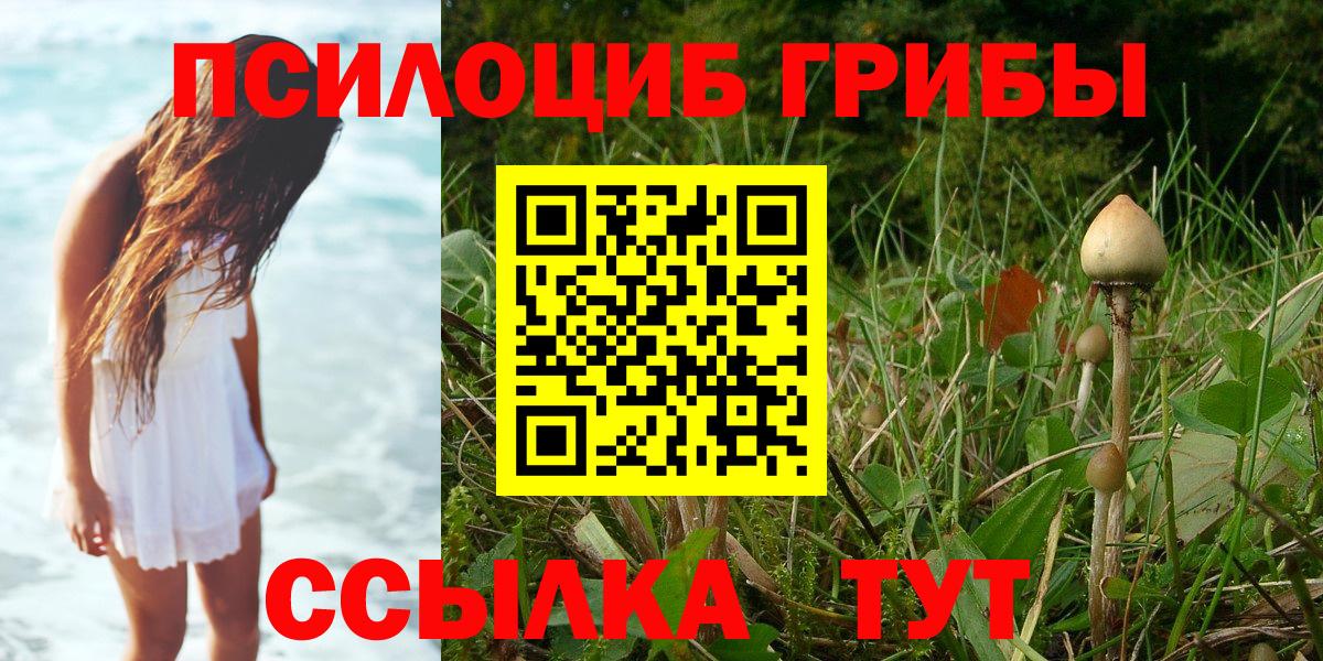 Псилоцибиновые грибы Magic Shrooms  Галлюциногенные грибы MAGIC MUSHROOMS  Вход с VPN  Тюмень 