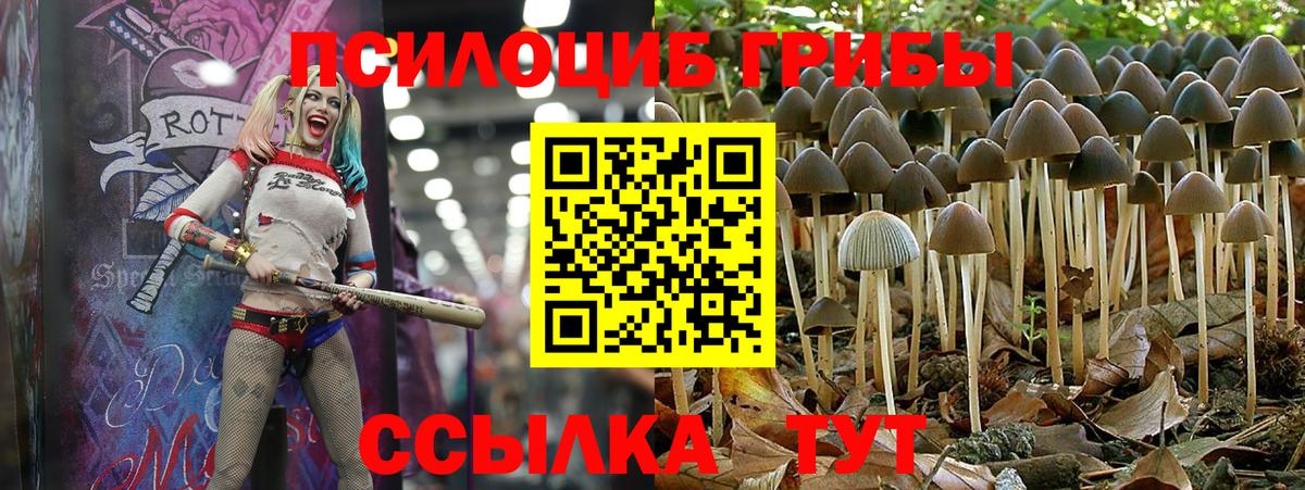 Галлюциногенные грибы ЛСД Тюмень